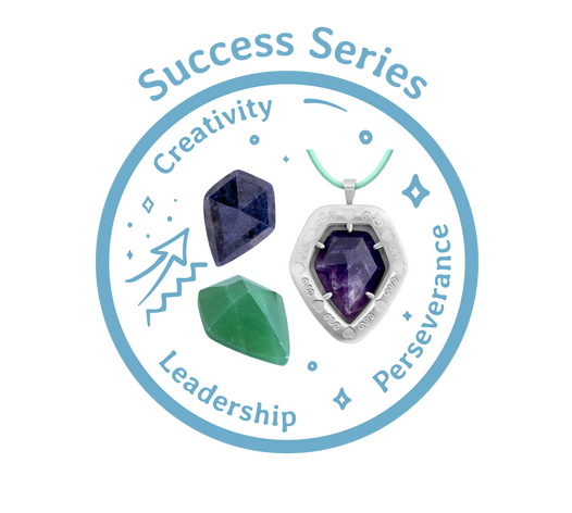 Success Series